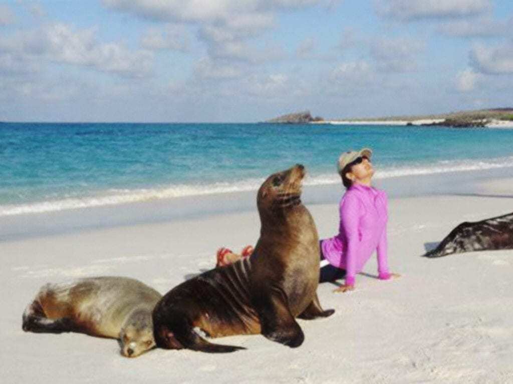 Seal Beach Yoga Galapagos