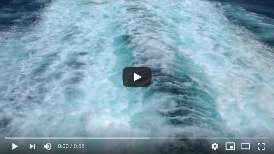 Ft Video