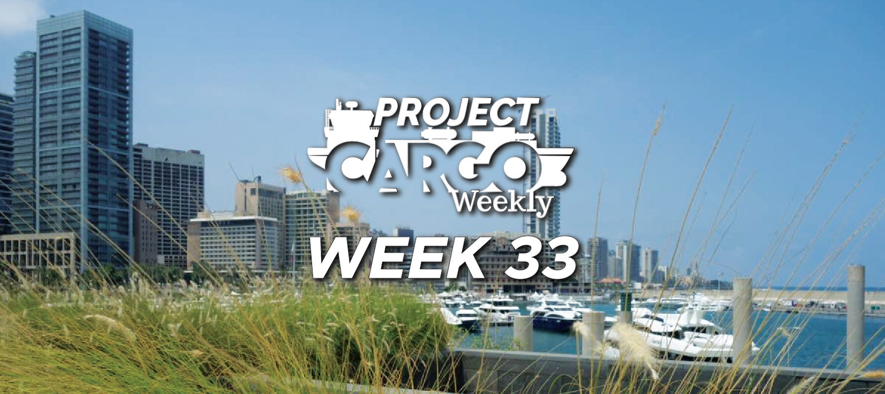 week33_header
