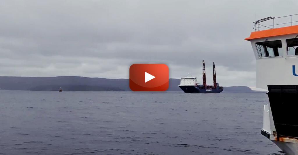 ft video