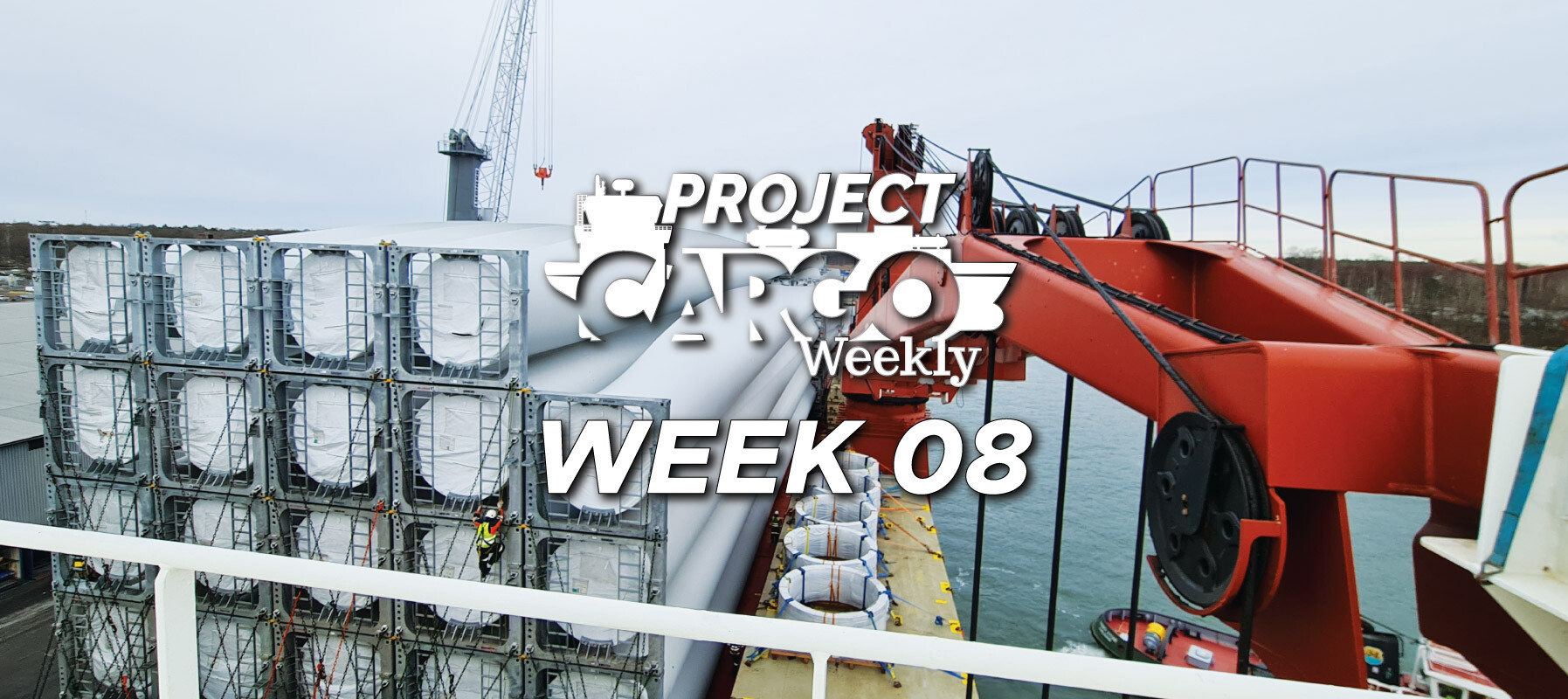 week08_header