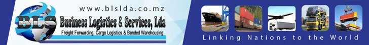 BLS-Mozambique-banner