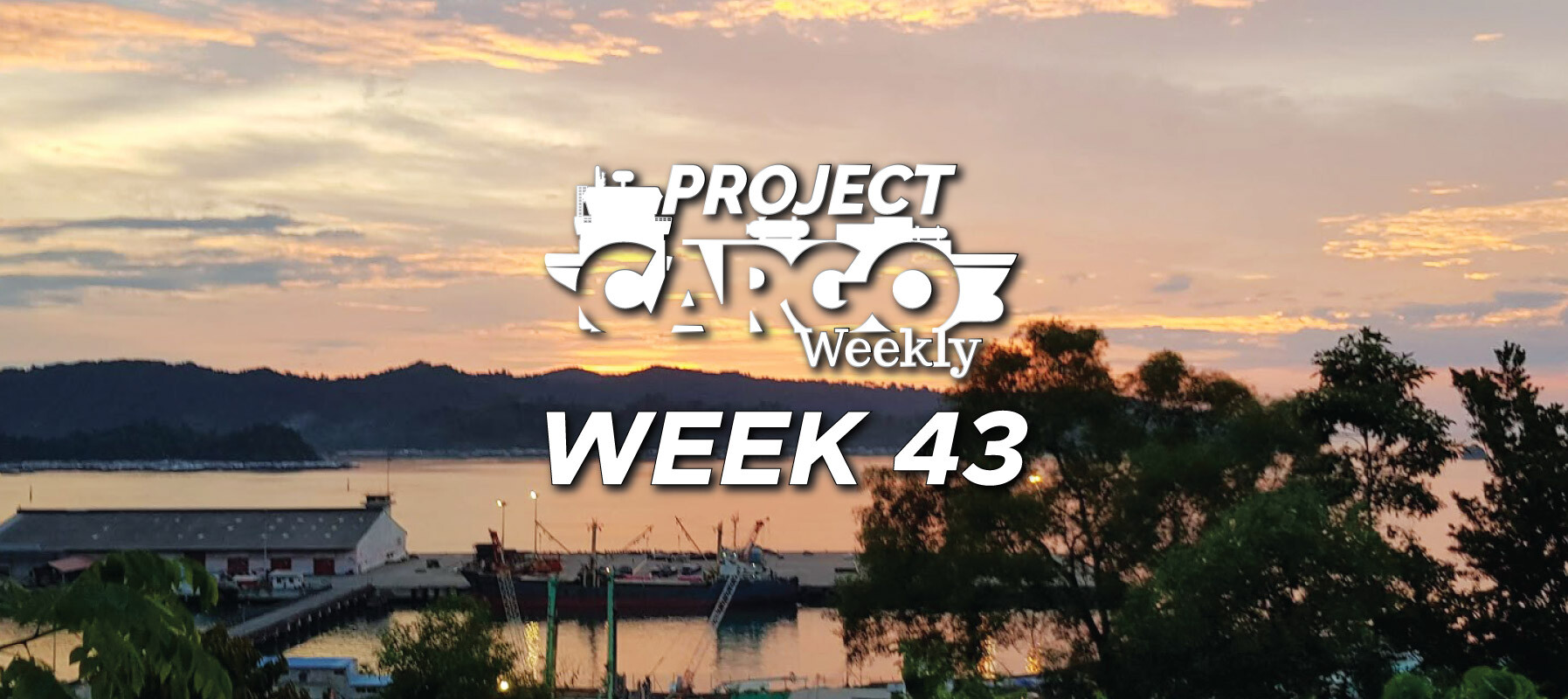 week43_header