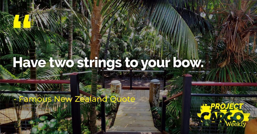 Have two strings to your bow.