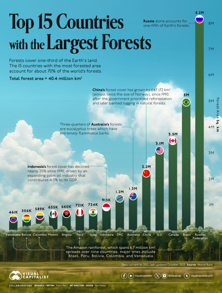 Which Countries Have the Largest Forests?