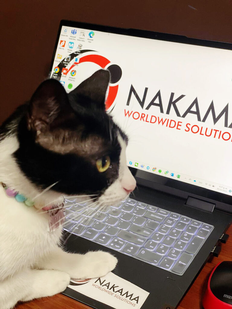 Nakama img00